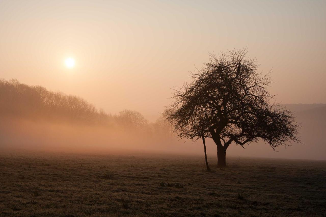 Gite Banet-Sart A Daverdisse Exteriér fotografie